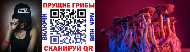 Псилоцибиновые грибы мухоморы  Константиновск 